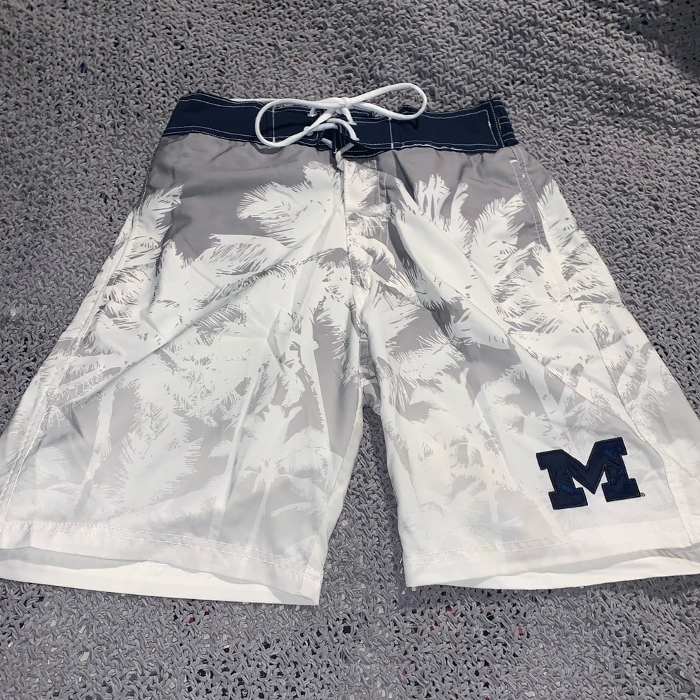 Michigan Swim Trunks
